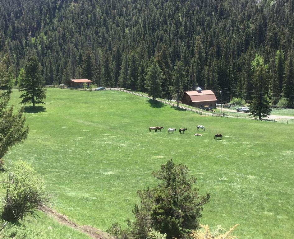 Pine Creek Cabin Livingston Montana Exterior foto